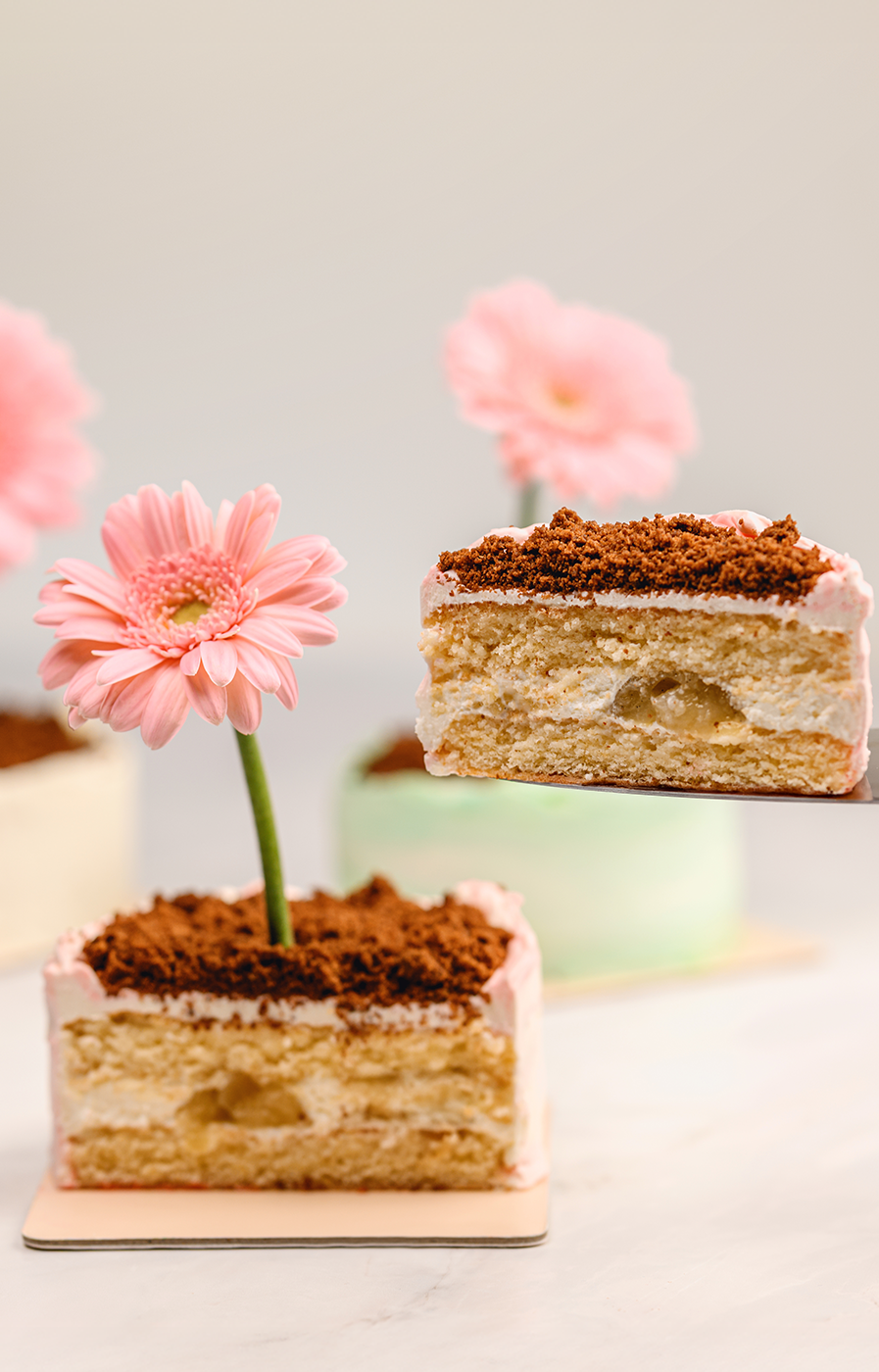 Bloom Pot Signature Cake (bento cake)