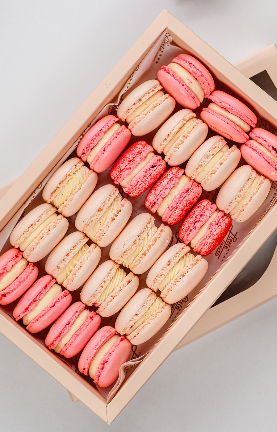 Pastel Paradise - Sharing Box