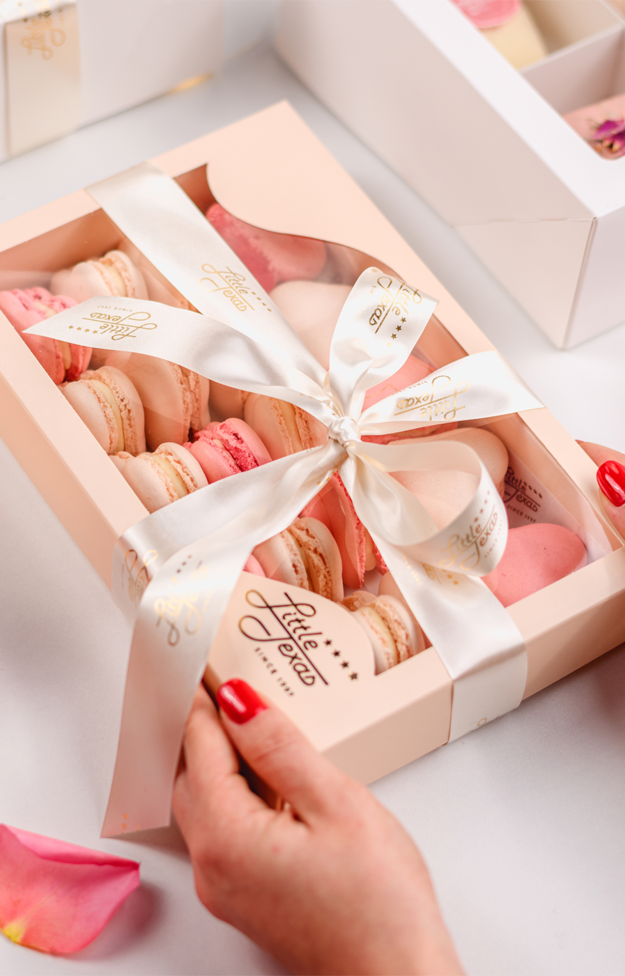 Pastel Paradise Box